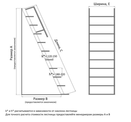 Лестница из нержавеющей стали Трап-Н 600 приставная Трап-Н 600 фото производителя